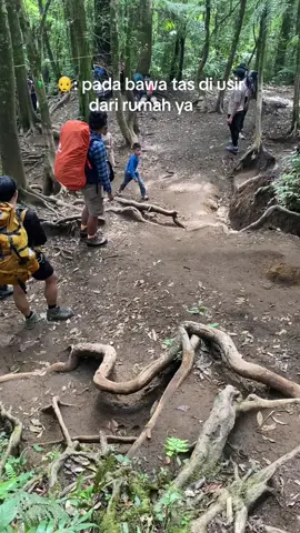 permisi akamsi mau lewat 🗿 #gngedepanggrango2958mdpl #surkengununggede #viaputrigununggede #pendakigunung #pendakifomo #fyp 