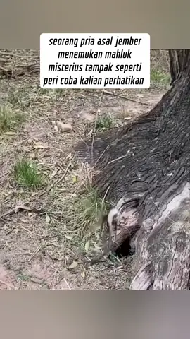 #artisviral #berita #beritaviral #beritaterkini #inspiration      