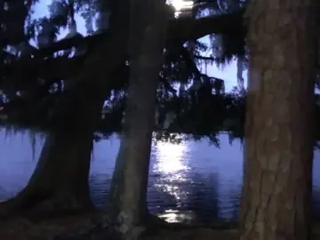 #агатакристи #песня #песнятоп #осень 