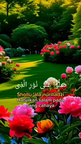 #shollualanurilladzi #sholawat 