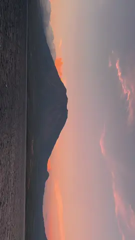 Somebody’s Pleasure 