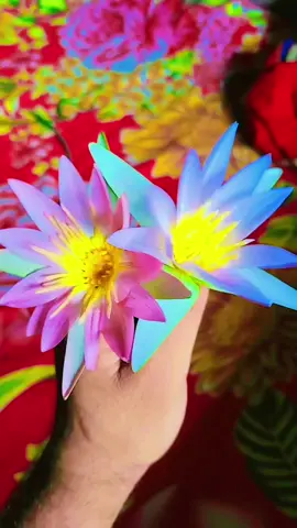 #Foryou#Vairal tiktok video# Vairal Bangladesh ###