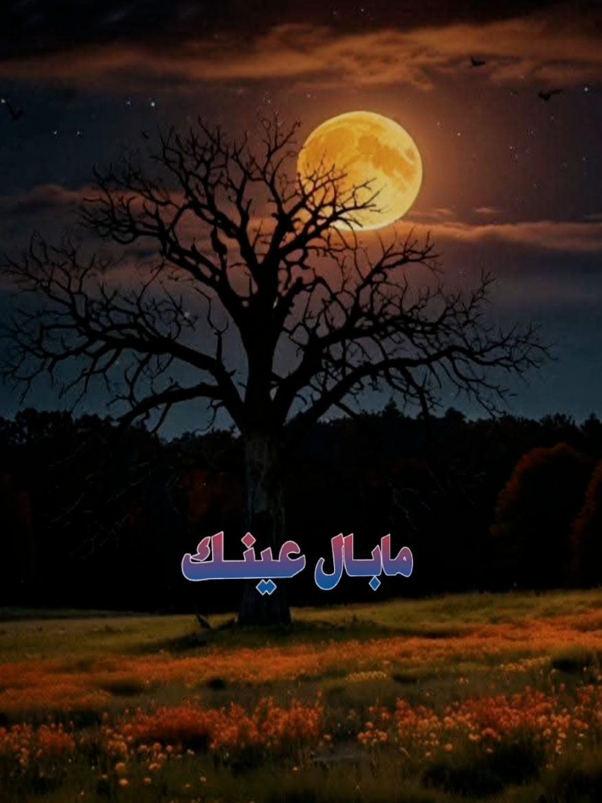 #CapCut #ما_بال_عينك_حتى_الصبح_لم_تنم #ازارها_الهم_ام_من_قسوة_الالم #السهر #الهموم #الصبح #لم_تنم #النوم #عينك #اناشيد_بدون_موسيقى  #اكسبلور #ترند  #fyp #foryou 