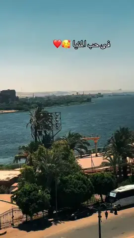 #عاشق_الجنيه🧜‍♀️ 