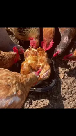 20 September #fyp #Mark #Mark #invincible #Mark 