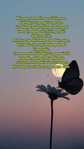 #trietlycuocsong #tinhthuc #phatphapnhiemmau🙏🙏🙏 #timlaichinhminh #nguyenlynguyen 