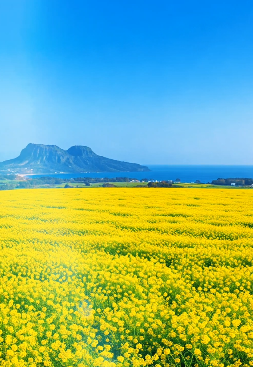 #foryou #nature #forestry #beautiful #flowers 