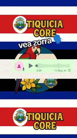 #costarica🇨🇷 #audiosticos #tiquiciacore #audiosdewhatsapp #costarica 