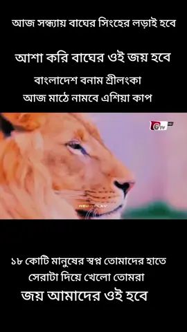 এশিয়া কাপে সুপার ফোর এ প্রথম ম্যাচে মাঠে নামবে বাংলাদেশ শ্রীলঙ্কার বিপক্ষে। ইনশাআল্লাহ বাংলাদেশের জয় হবে।। সবাই দোয়া করবেন আজকে জিতে ফাইনালের দিকে এক ধাপ এগিয়ে যেতে পারে #viralvideo #foryou #foryou #bangladesh🇧🇩 #srilanka 