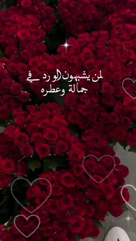 #صباحكم_أحلى_صباح🌹🌹 
