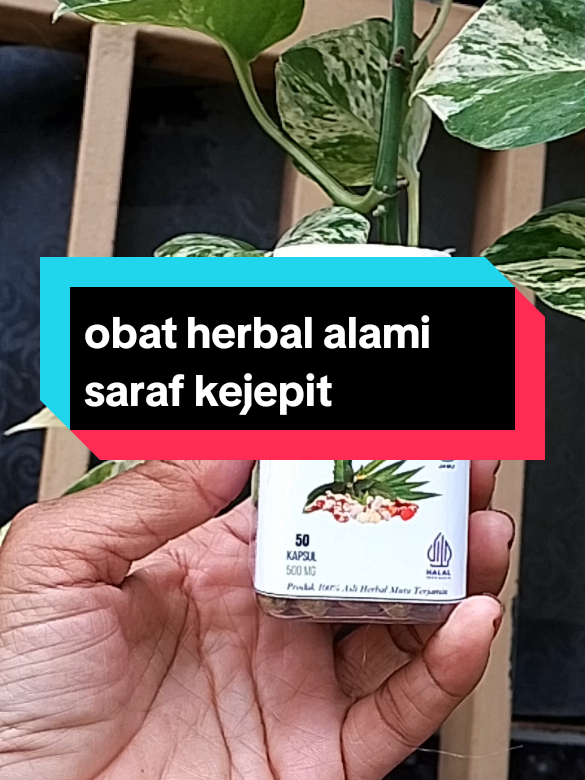 kapsul herbal original saraf kejepit aman tanpa efek samping#obatherbal #sarafkejepit #original #viraltiktok 