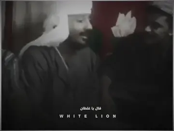 البيضاني 