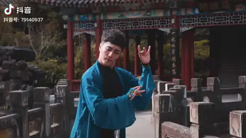 #Dancechinese#yanwuxie燕无歇 