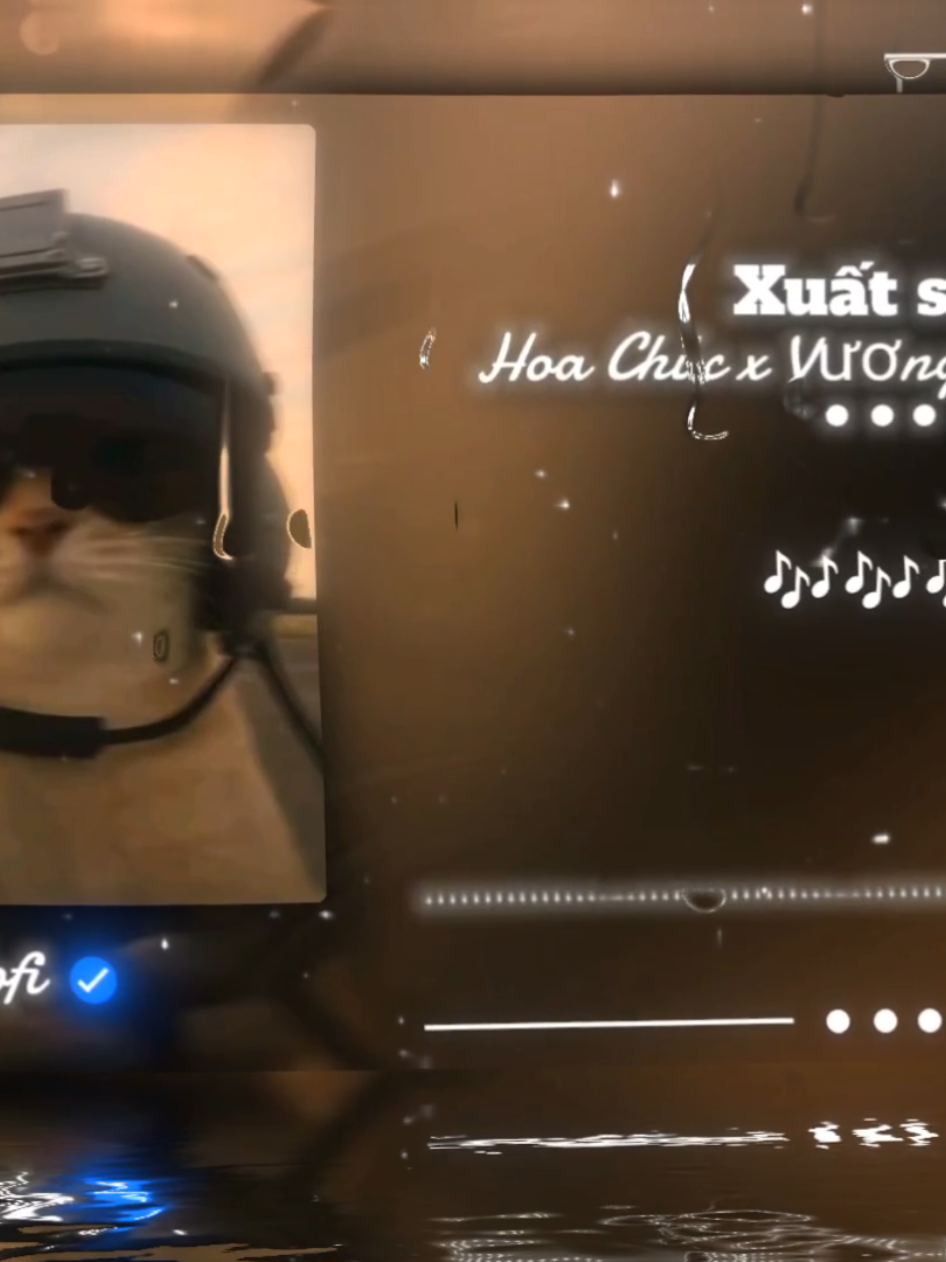 xuất sơn...#lofi #nhachaymoingay #music #xuhuong #menhaclofi 
