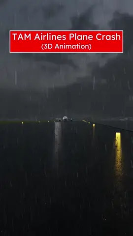 TAM Airlines Flight Crash #tamairlines #growmyaccount #3danimation #learn #brazil 