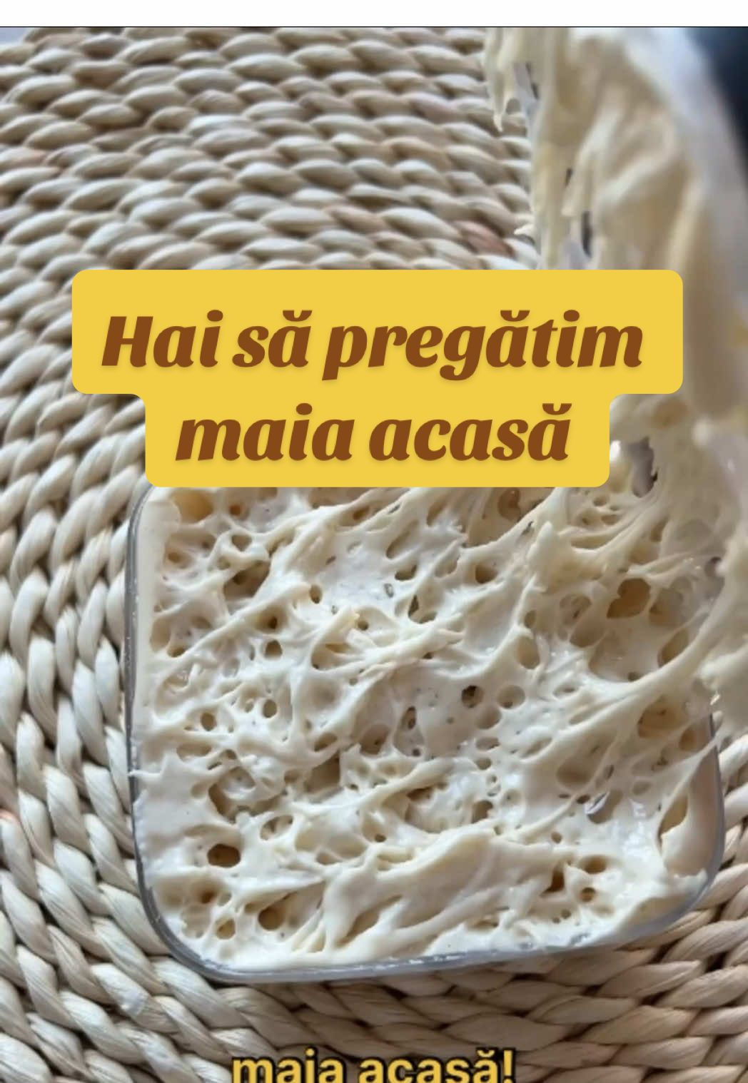 Apa, făină, timp și răbdare. Atât îți trebuie ca să-ți crești propria maia. Dar dacă vrei să nu greșești și să ai ghidaj pas cu pas, te aștept la atelierul „Maia de la 0”. 📅 Perioada: 22–28 septembrie. 📍 Unde: pe un grup privat de Telegram. Ce primești în fiecare zi: ✔️ un filmuleț scurt și explicativ; ✔️ instrucțiuni scrise, ușor de urmat; ✔️ feedback personalizat – îmi trimiți poze și îți răspund direct; La finalul celor 7 zile vei avea: ✨ propria ta maia sănătoasă și activă; ✨ înțelegerea pașilor și a „limbajului” maielei; ✨ bonus: o rețetă simplă de pus imediat în practică; Intră aici pentru detalii 👉 candor.ro/cursuri/maia-de-la-0 (linkul e și în descrierea profilului) #paine #paineartizanala #painecumaia #maia #maiadela0        