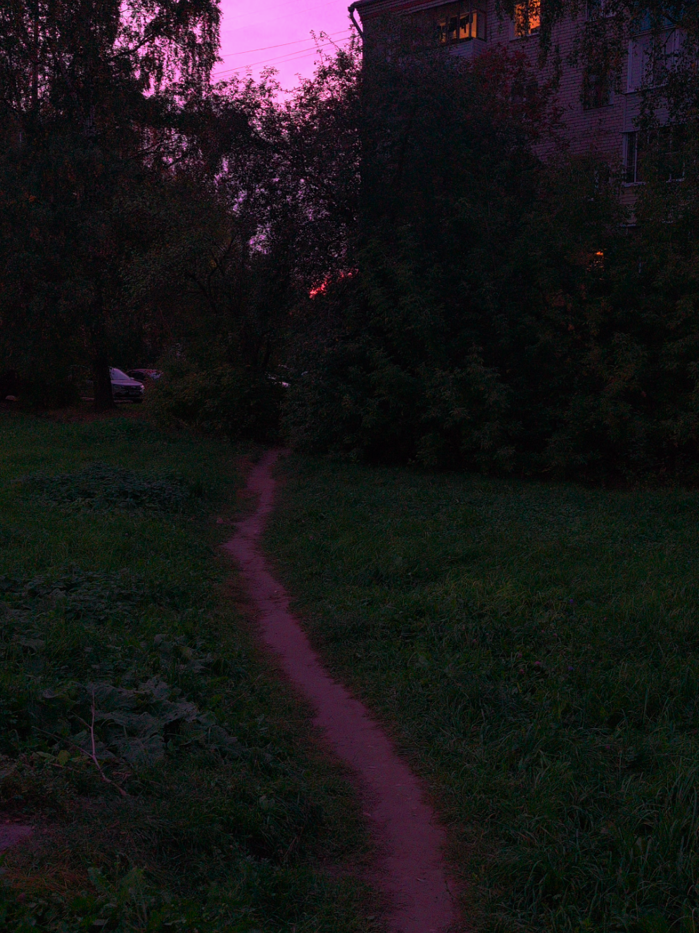 .                                                                                                                                                                              #вайб #спокойствие #вечер #nostalgiacore #c418 