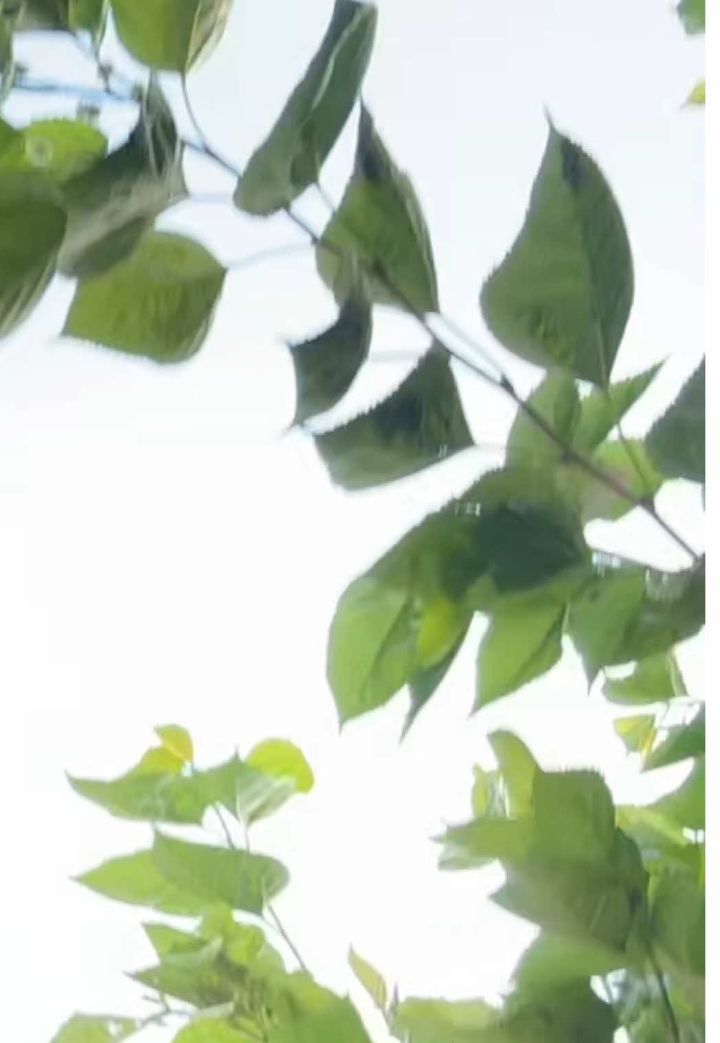 😂😂😂😂😂😂😂