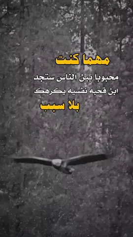 اكسبلور #تصميم_فيديوهات🎶🎤🎬 