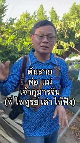 #กุมารจีน 