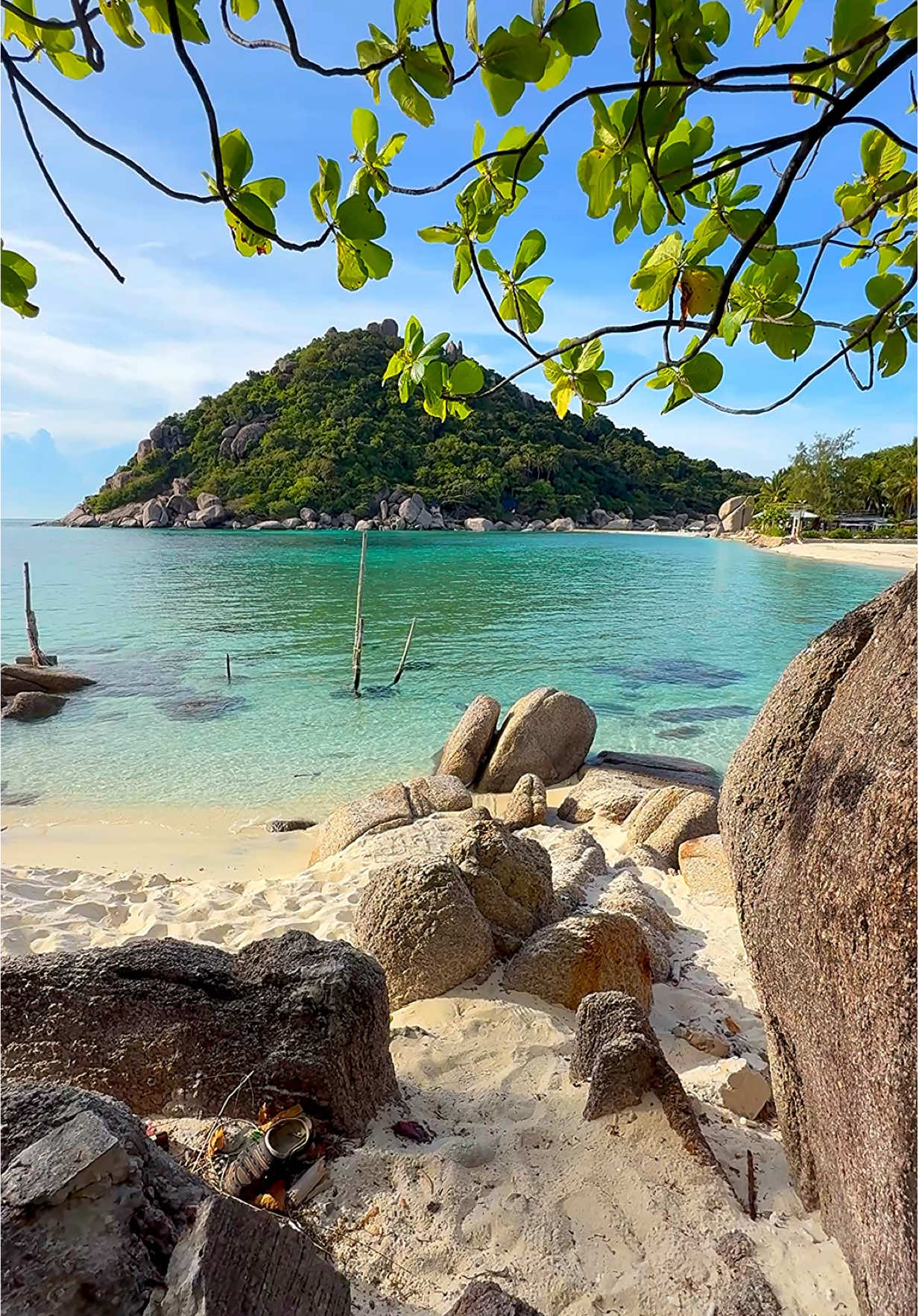 View Beach feels like a private heaven 🏝️🌿 📍Koh Nang Yuan - Koh Tao , Thailand 🇹🇭  . . #thailandtravel #beachvibes #islandlife #nature #vacations 