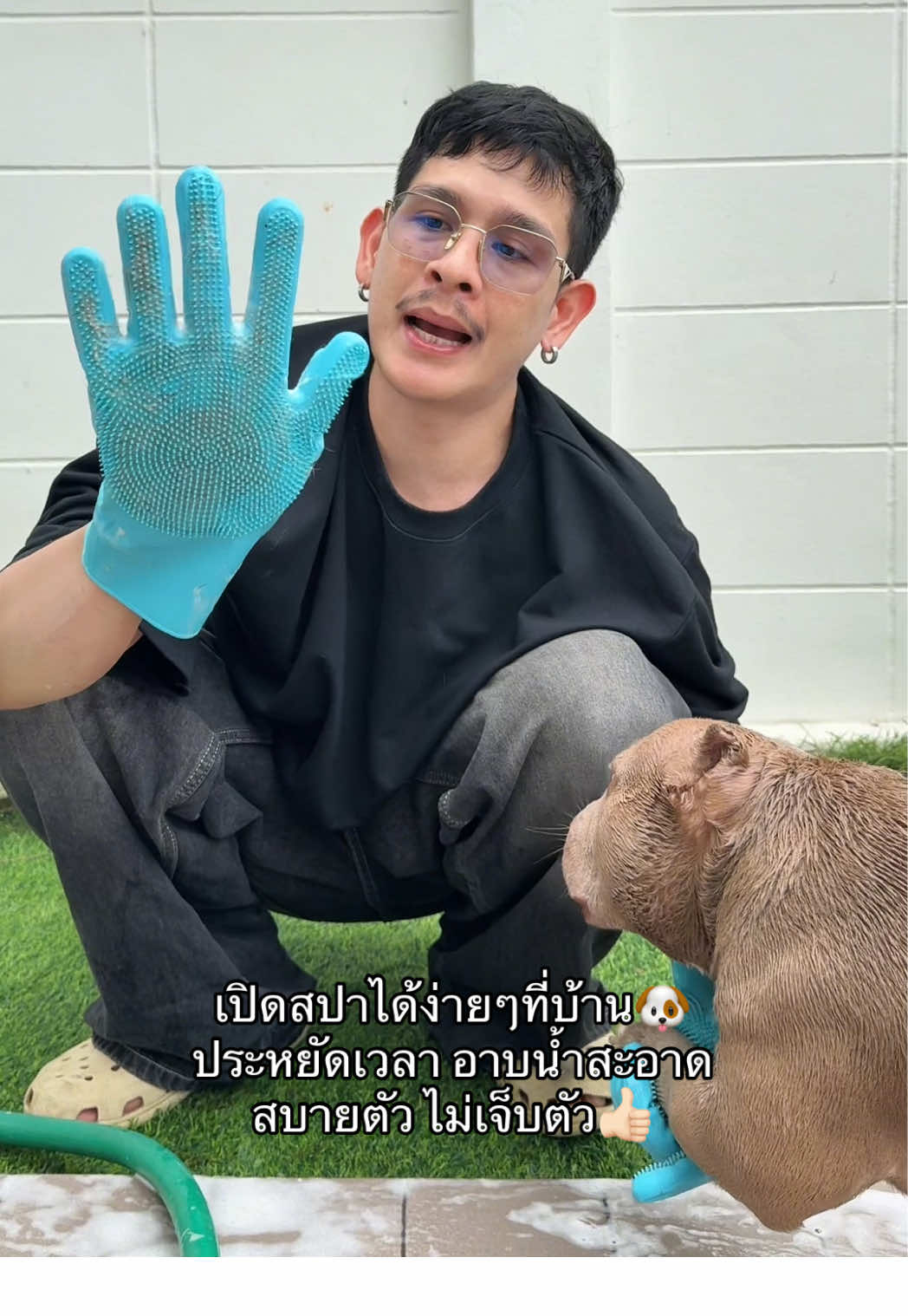 ใส่ที่อาบน้ำให้น้องหมาน้องแมวเองจัดตัวนี้ไปเลยควรมีมาก‼️#แปรงขัดตัวสัตว์เลี้ยง #แปรงอาบน้ําซิลิโคน #แปรงเก็บขนน้องหมาน้องแมว 