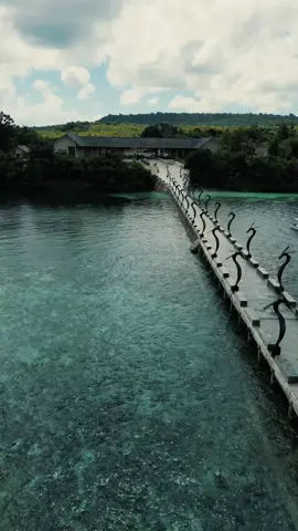 Tetap Jaga keindahan laut wakaatobi 😍 #wakatobi  #wanci #CapCut #sombudive  #insta360  @pesonawakatobi.id   @pesonaindonesia 