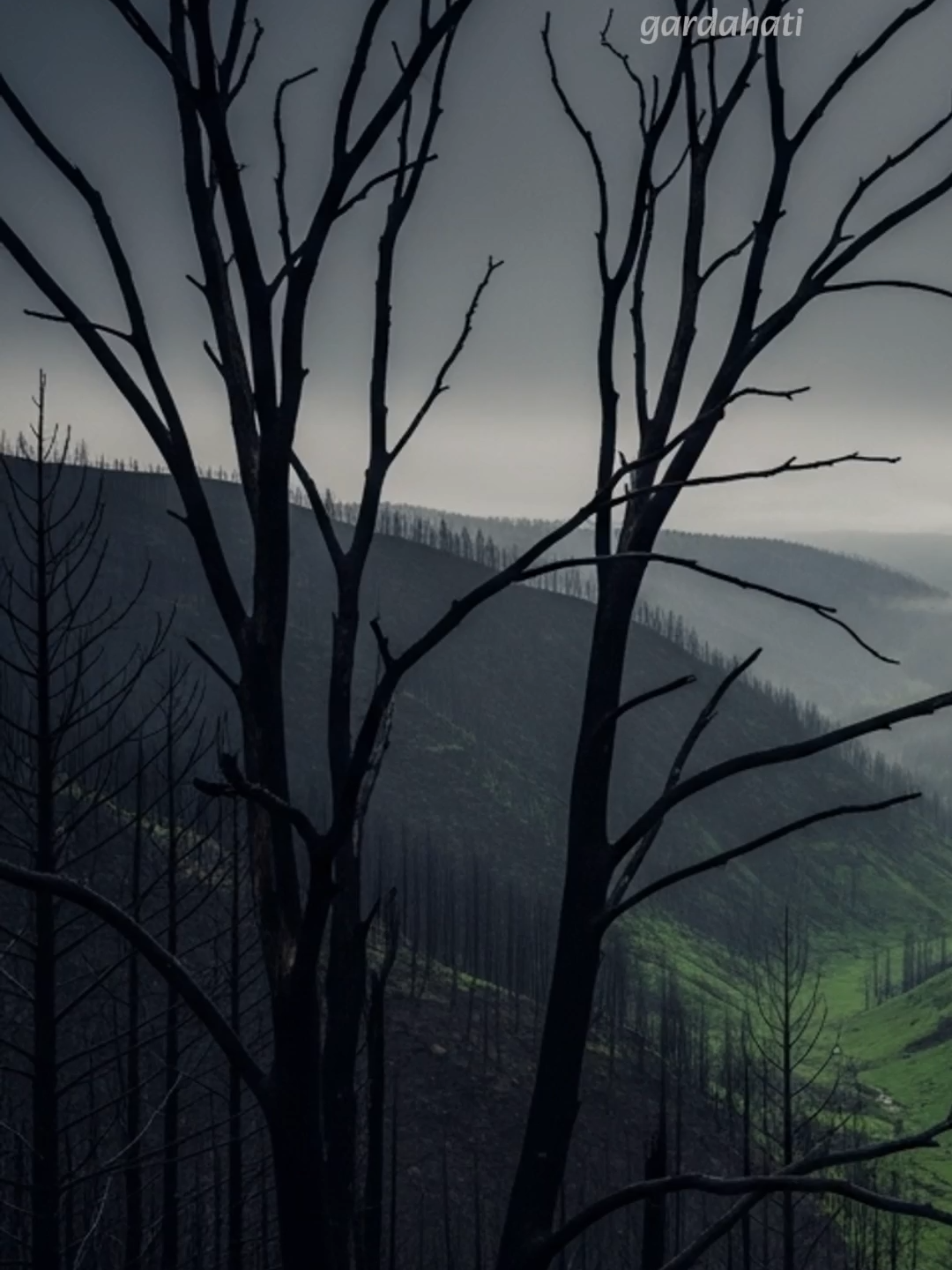 Mengeluh hanya akan membuat hidup kita makin tertekan. Sedangkan beryukur akan senantiasa membawa kita pada jalan kemudahan. #katakatabijak #quotes #penguatdiri #pengingatdiri #motivasidiri #inspirasikehidupan #status #story #reminder #fyp