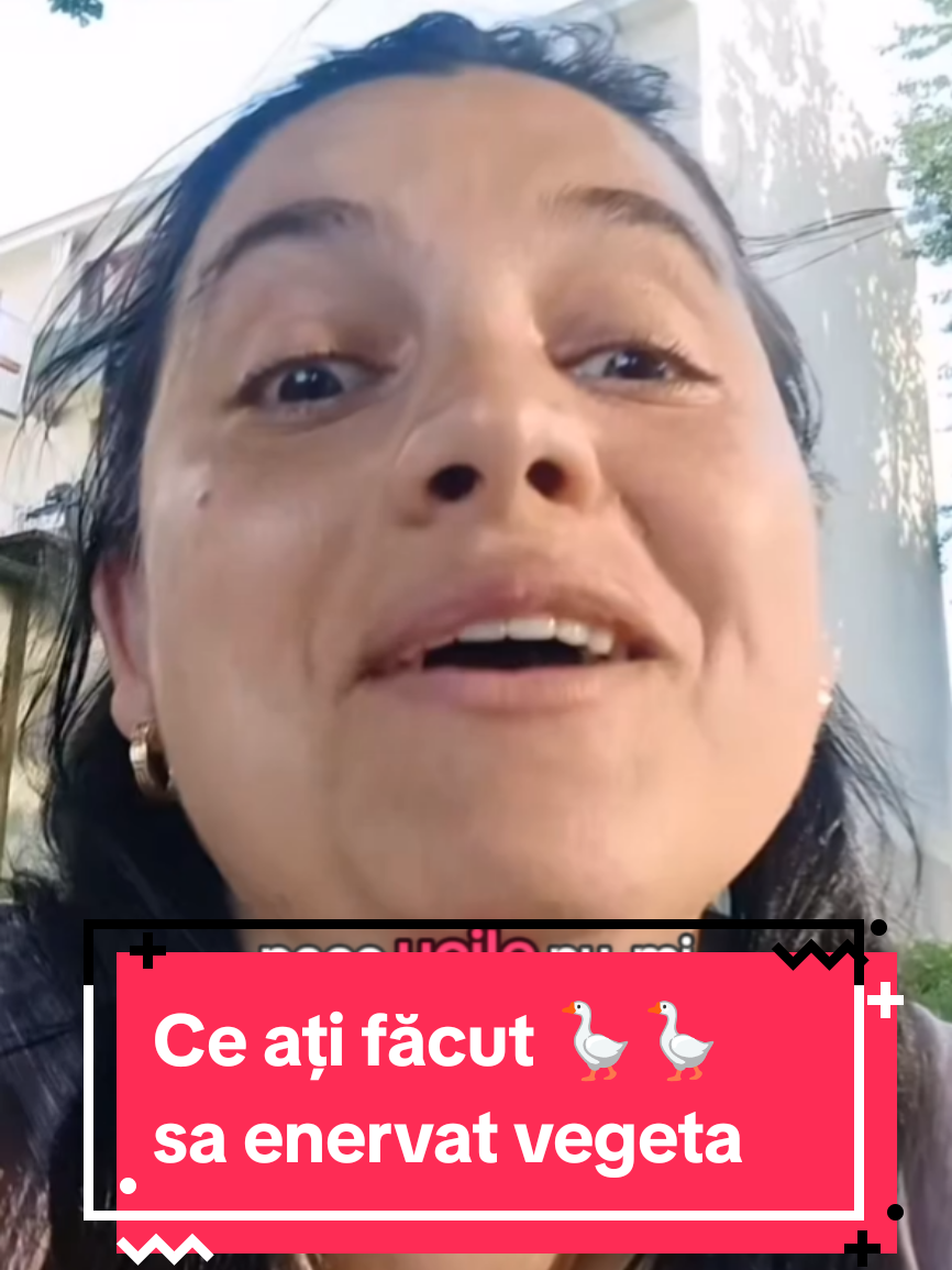 #popalina #viral #alina #pamflet #alinapop 