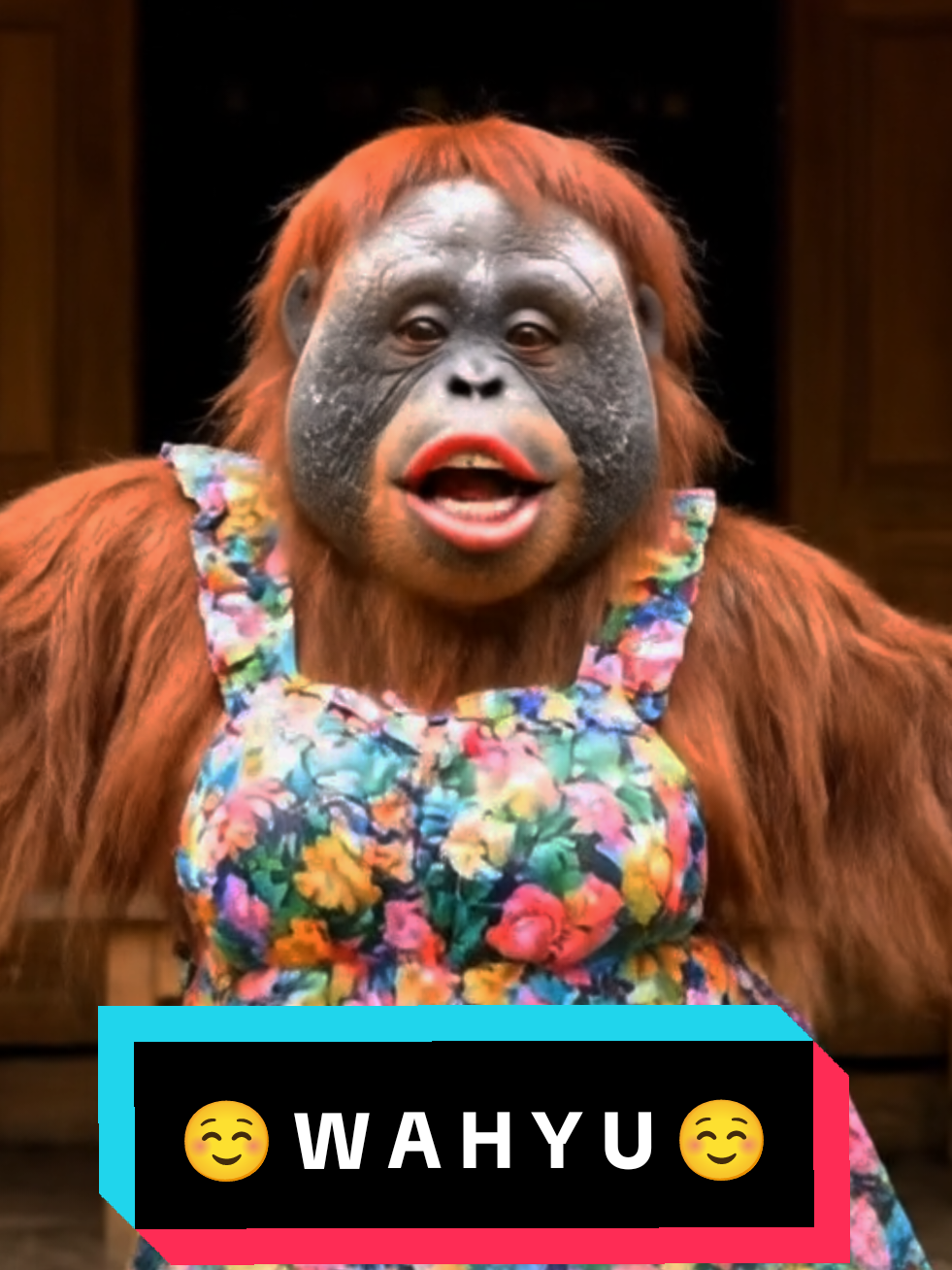 lagu cinta buat mas wahyu (dari mis misterius)#orangutan #videoai #ai #aivideo #videolucu 