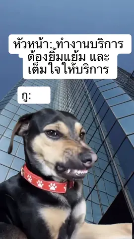 เต็มใจสุดๆ🤣 #เทรนด์วันนี้ #เธรด #ที่ทํางาน 