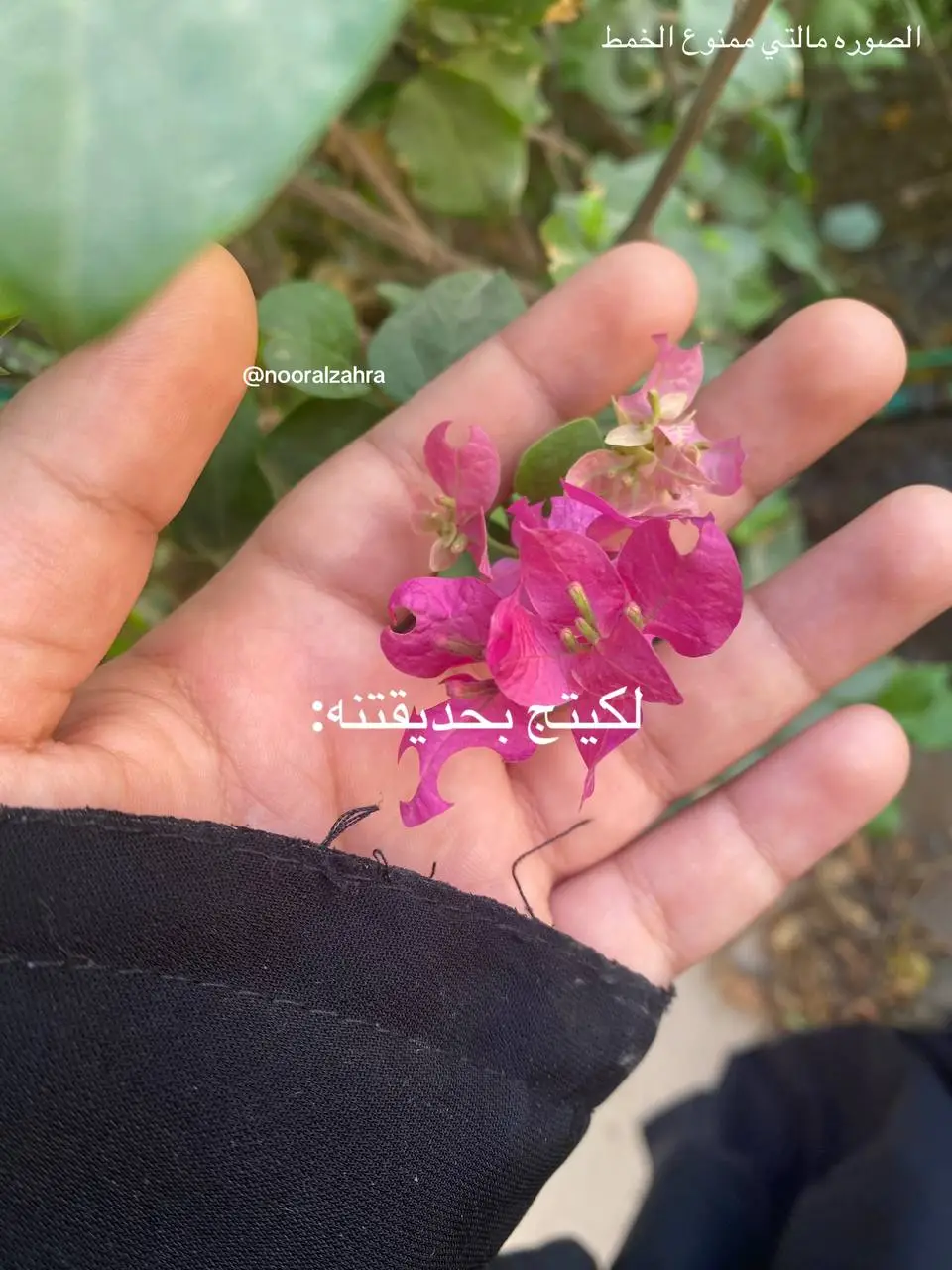 #السيده_زينب_عليها_السلام #المهدي_المنتظر_عجل_الله_فرجه #فاطمه_الزهراء #علي_بن_ابي_طالب #بسم_الله_الرحمن_الرحيم 