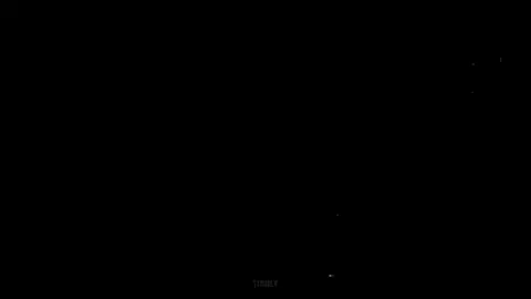 那天刚好路过就顺手救了小狗，没想到被拍下来了#jojo #jojosbizarreadventure #fyp #eidt #卡兹