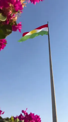 #foru #foryou #kurdistan #everyone #hamaykakay 