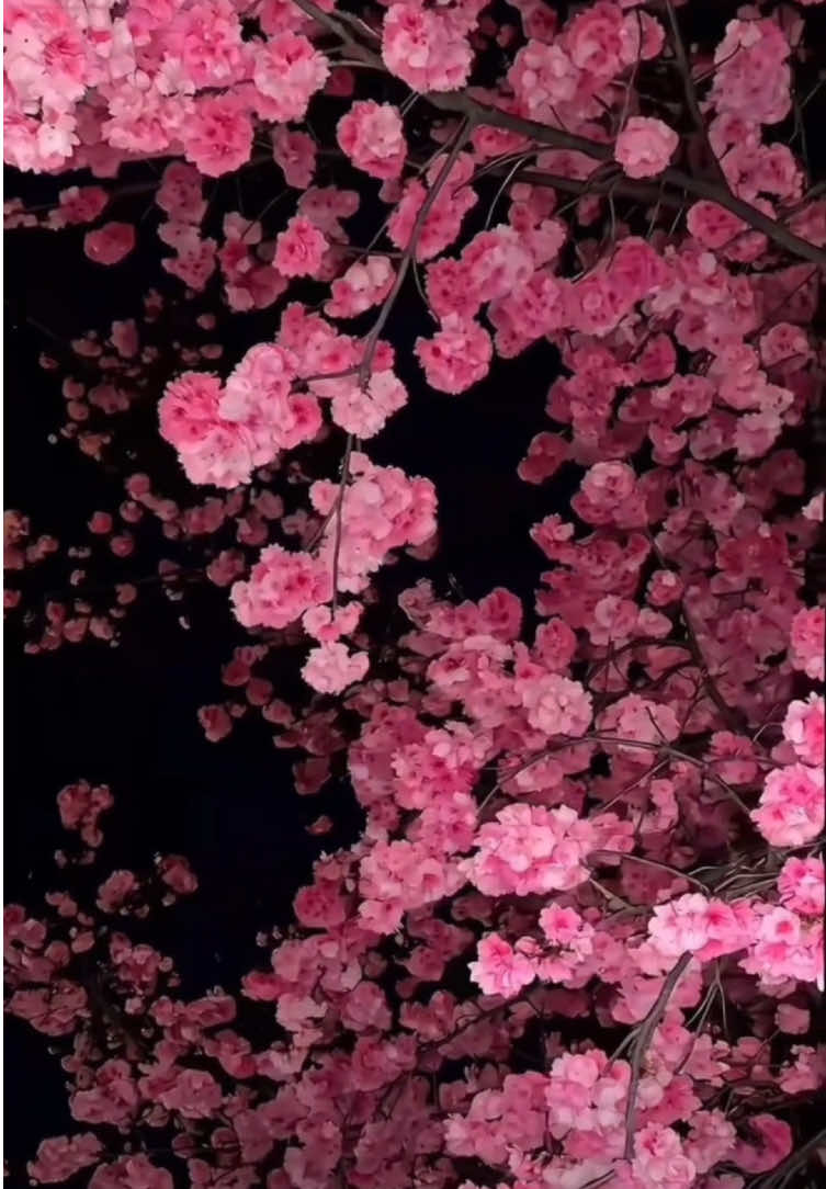 3D wallpaper for iOS 26 #CapCut #capcutforus #capcutpioneer #livewallpaper #ios26 