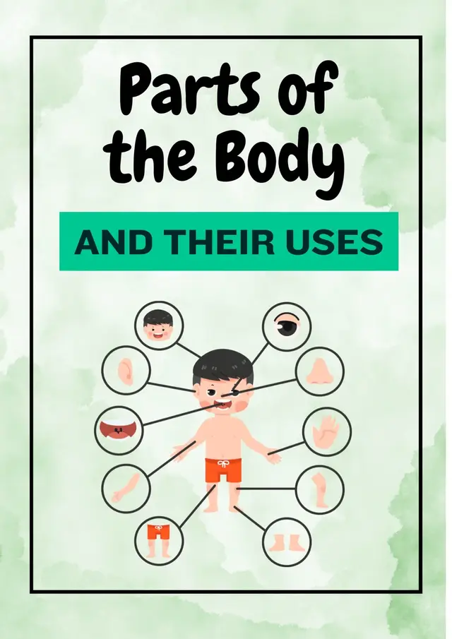 Parts of the body and their uses 🤩 #teacher #school #english #trending #fyppppppppppppppppppppppp 