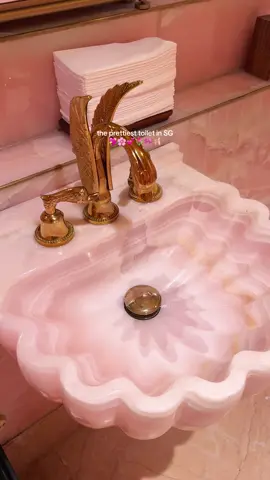 @whatLizhaseaten Gasped when I stepped into the toilet 🤣 it’s so pink!  • IG: @whatlizhaseaten (I post yummy food and I’m not normally a toilet influencer guys 😭🫩) • Location: @whatLizhaseaten 