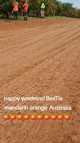 #australiapunyacerita  #🇦🇺🇦🇺*🇮🇩🇮🇩  #fyp 