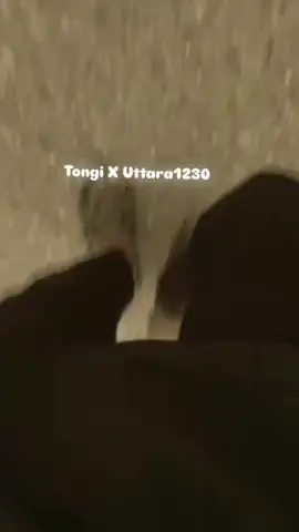 @🐼 R A H I M 🐼 @not.your_mosharof @☠️Sojib🥷 