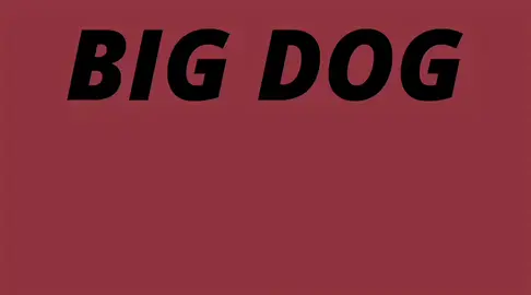 Pitbull terrier #HonkaiStarRail #hoyoverse #drratio #aventurine #fulidemiku 