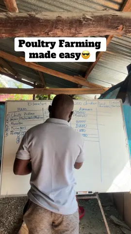 Poultry farming simplified. Estimated budget for 200 chicks part2 #SOPfarm #chicks #goviral #dayoldchick #poultry 