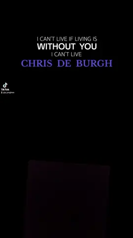 #chrisdeburg#withoutyou#foryou#music 