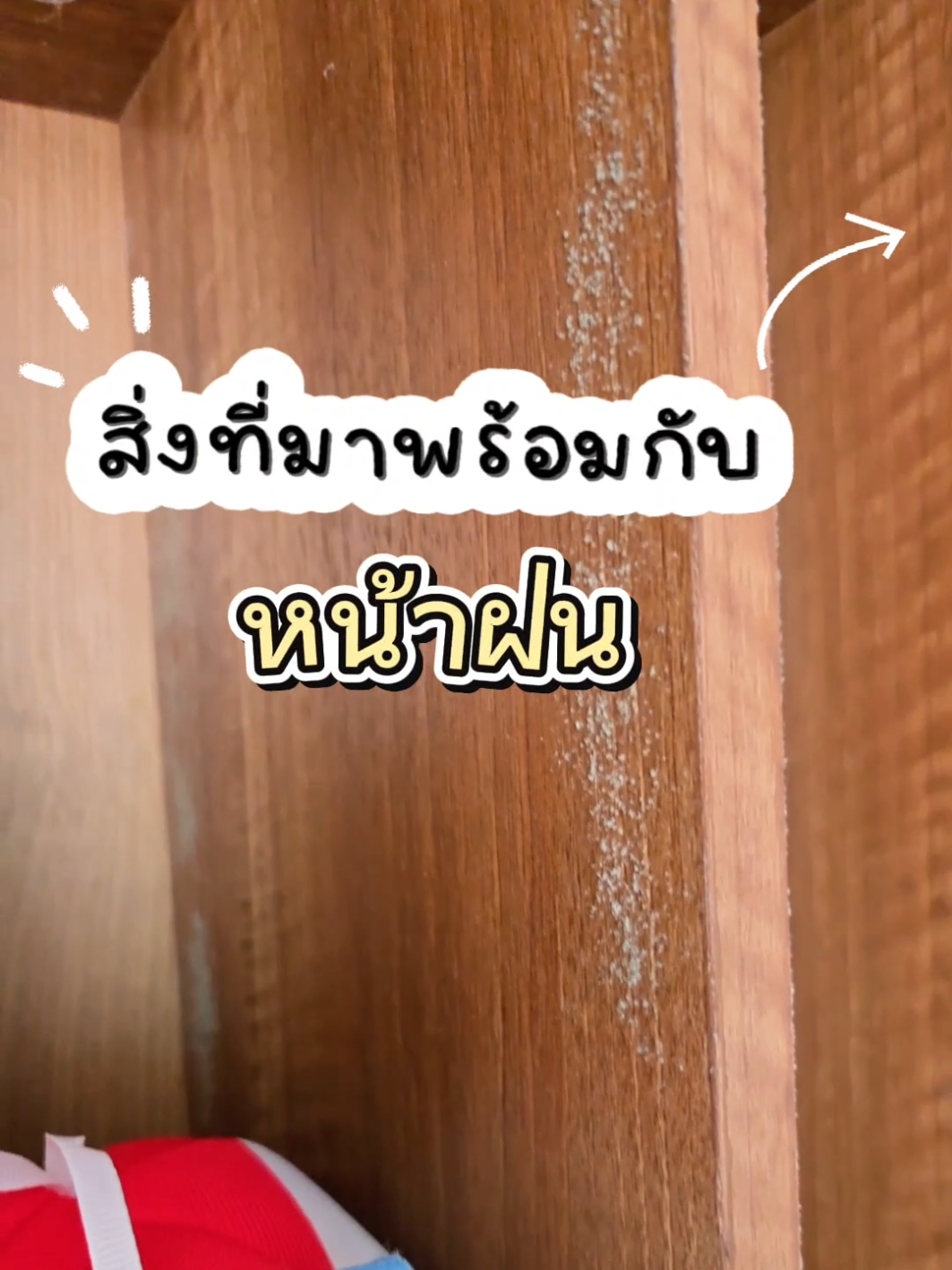 เชื้อราที่มาพร้อมกับหน้าฝน ! เพราบ้านชื้น 🧫🚪#ถุงดูดความชื้น #ถุงดูดความชื้นในตู้เสื้อผ้า #ดูดความชื้น #แม่บ้านรีวิว #ป้ายยาเก่ง 