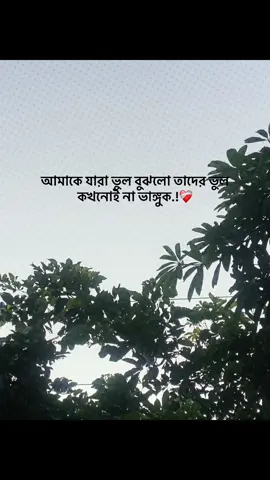 আমাকে যারা ভুল বুঝলো তাদের ভুল কখনোই না ভাঙ্গুক😅#foryou#trending #tufayel100k #popularvideo #captionvedio 