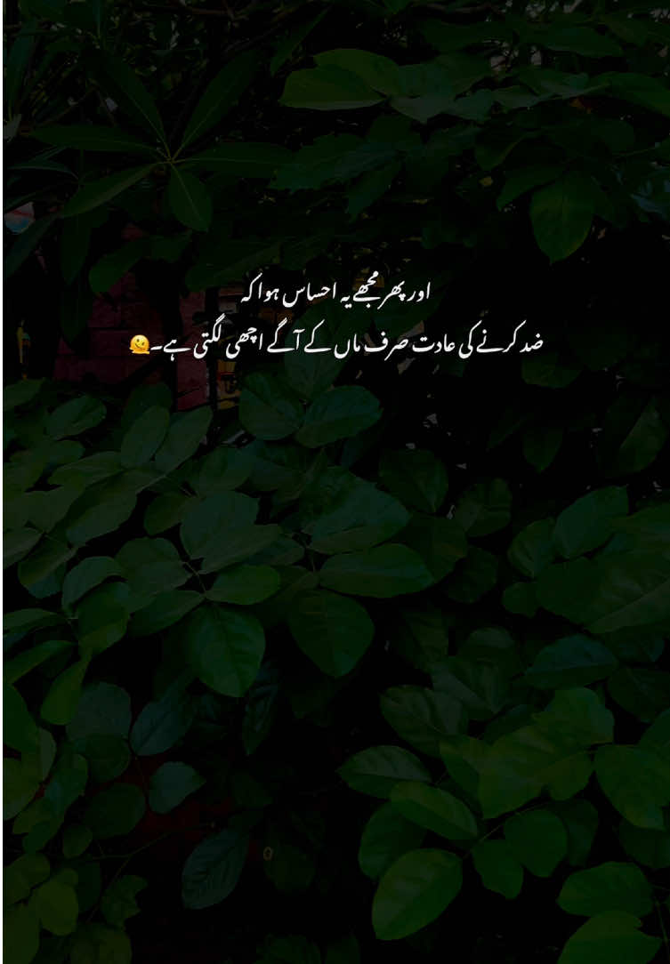 💔🫠#grow #poetry #fyp #viralvideos #aestheticvideos 