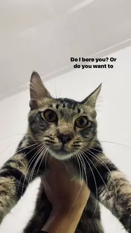 #lyrics #music #ours to keep