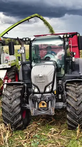 @_agrar_kilian in der Maisernte!🌽  Das ganze Video gibts auf YouTube bei “AgrarNils” zu sehen!🎥🚀 Kilian ist Landwirt im zweiten Lehrjahr. Der 18 jährige arbeitet neben seiner Lehre auf dem Pacht-Betrieb seines Onkels. Vielleicht kennt ihr Kilian schon aus einem ziemlich viralen Video, wo er sein Zeugnis mit dem Traktor abgeholt hat.  Heute steht aber Maishäckseln auf dem Plan und wir werden Kilian dabei begleiten - Das Wetter drückt jedoch und es ist nicht klar, ob es trocken bleibt. Besonderheit heute ist außerdem, dass der gehäckselte Mais nicht in die Biogasanlage kommt, sondern wird zu Maisballen für die Kühe gepresst wird. Davor muss aber noch einiges organisiert und vorbereitet werden. Kilian brennt einfach für die landwirtschaft und das werden wir heute auch zu spüren bekommen. #landwirtschaft #fendt #mais #häckseln 