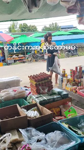 တနုိင်းမြို့ရဲ့နာမည်ကြီးအဆိုတော်မမ