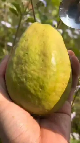 #amatshitshi🤍 #fypシ゚ clearing my drafts 💗🥹👅