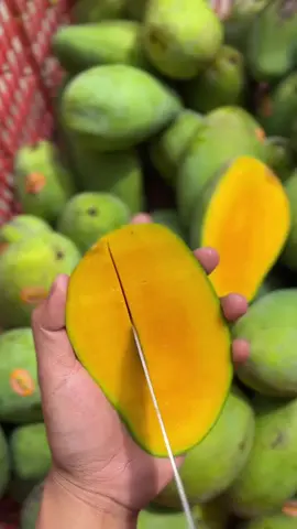 #manggaharummanis  #manggasuper Harga 11.000/kg